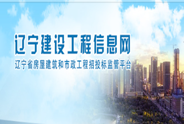 關于印發《2024年全省房屋建筑和市政工程招標投標市場亂象專項整治行動方案》的通